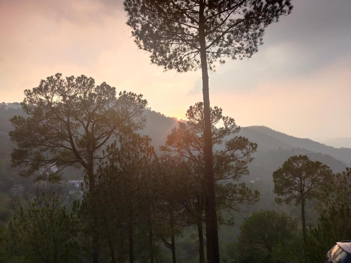Pine Villa Kasauli Eksteriør bilde