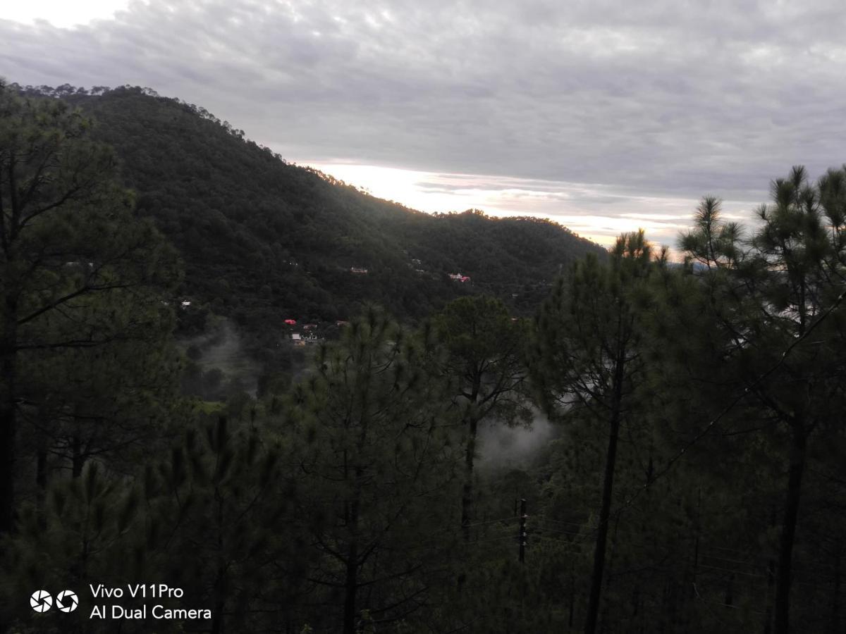 Pine Villa Kasauli Eksteriør bilde