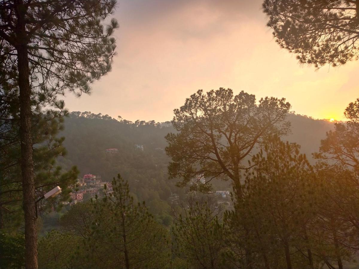 Pine Villa Kasauli Eksteriør bilde