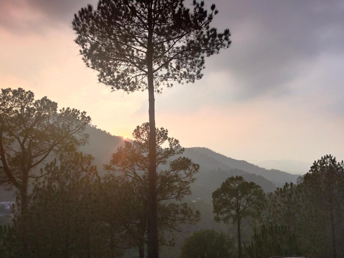 Pine Villa Kasauli Eksteriør bilde