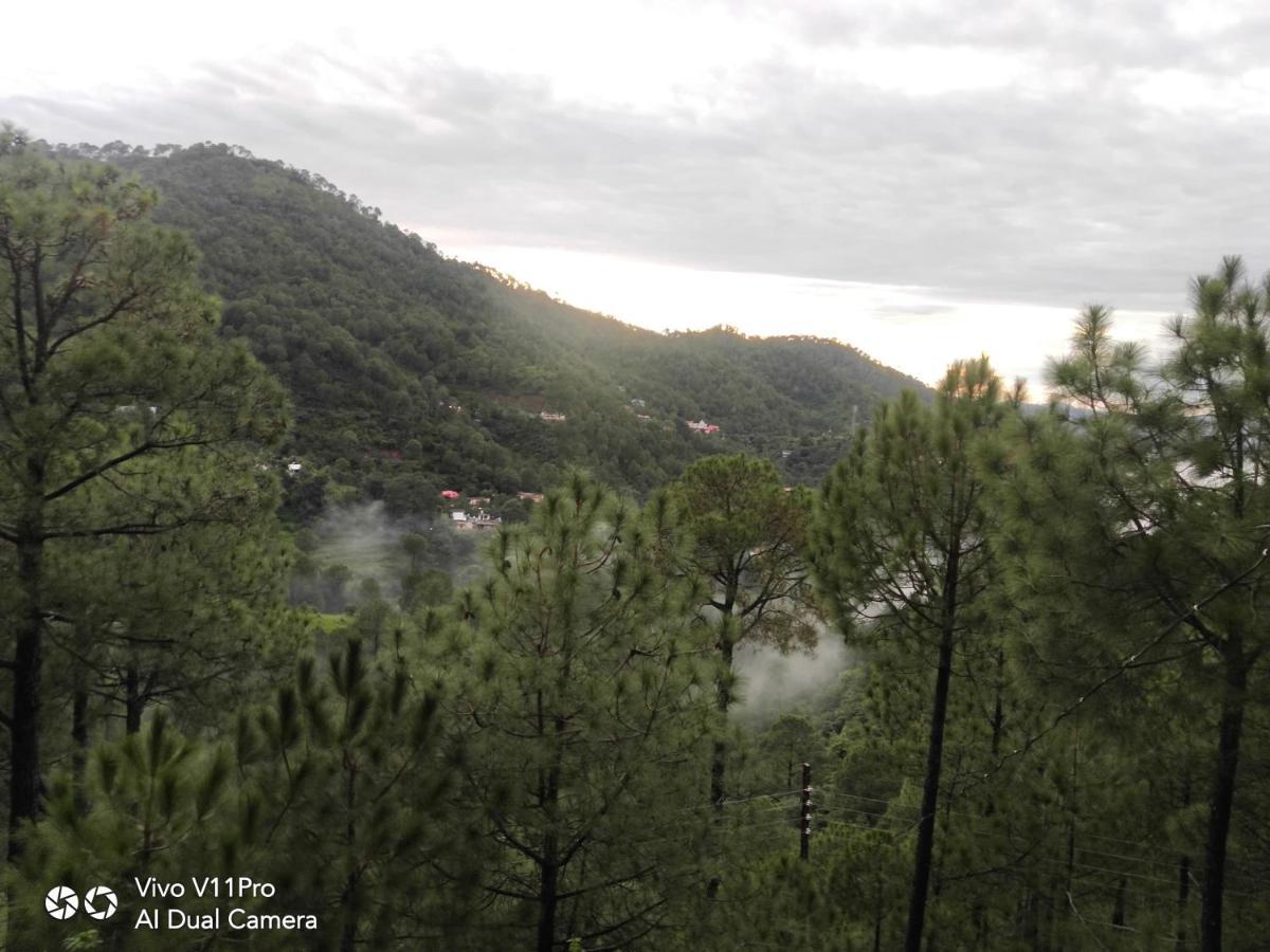 Pine Villa Kasauli Eksteriør bilde