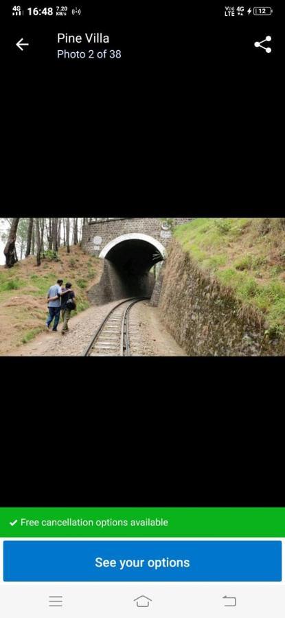 Pine Villa Kasauli Eksteriør bilde