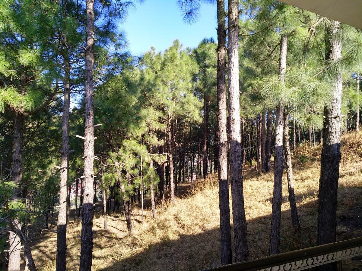 Pine Villa Kasauli Eksteriør bilde