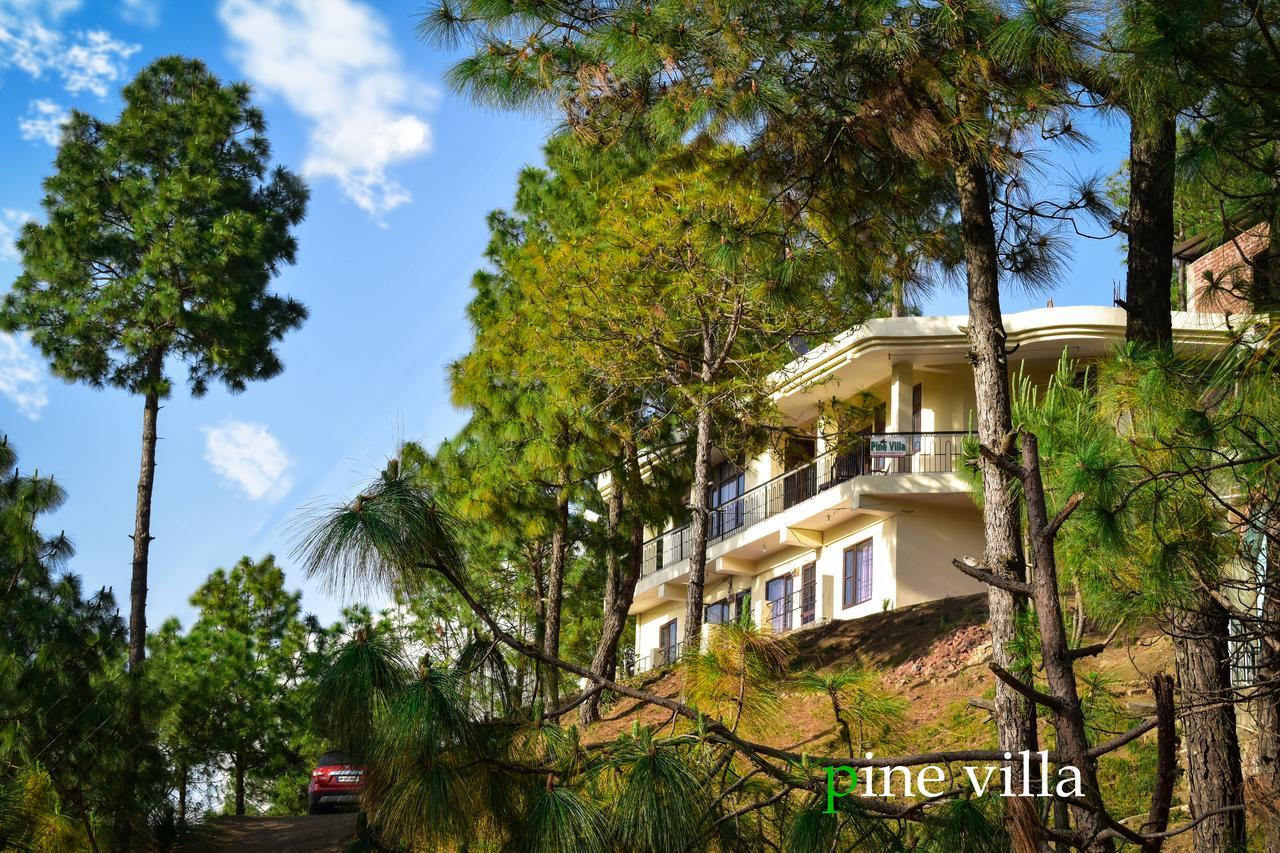 Pine Villa Kasauli Eksteriør bilde
